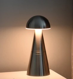 Read more about the article Charm cordless light