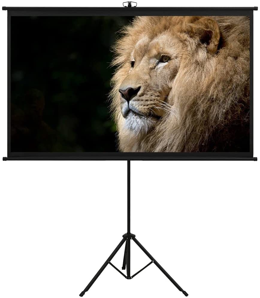 Read more about the article Projector screen small