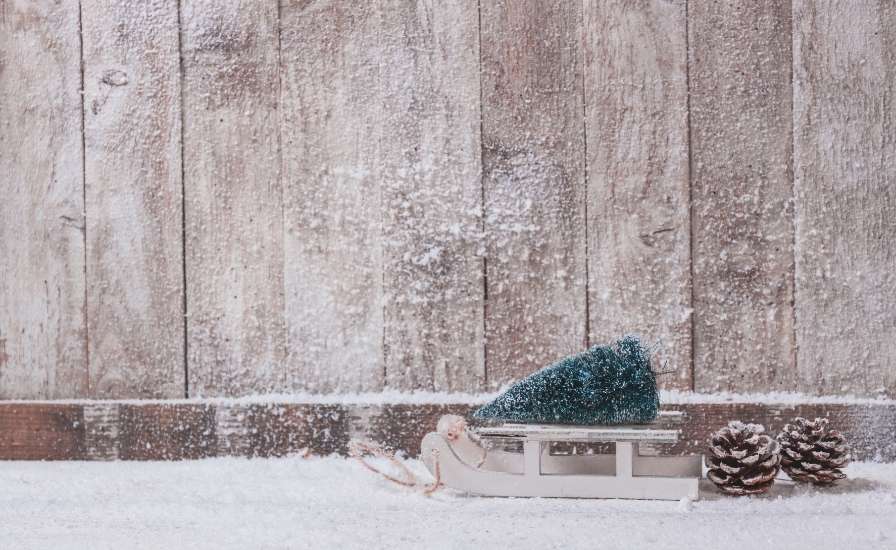 Snowy Backdrop for Photos 