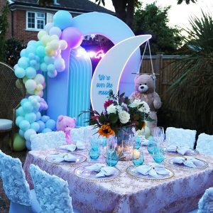 Gender Reveal Theme Party